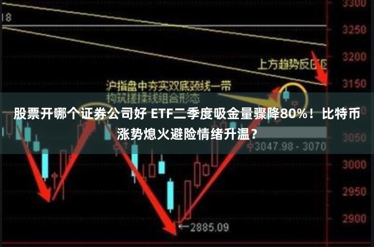 股票开哪个证券公司好 ETF二季度吸金量骤降80%！比特币涨势熄火避险情绪升温？